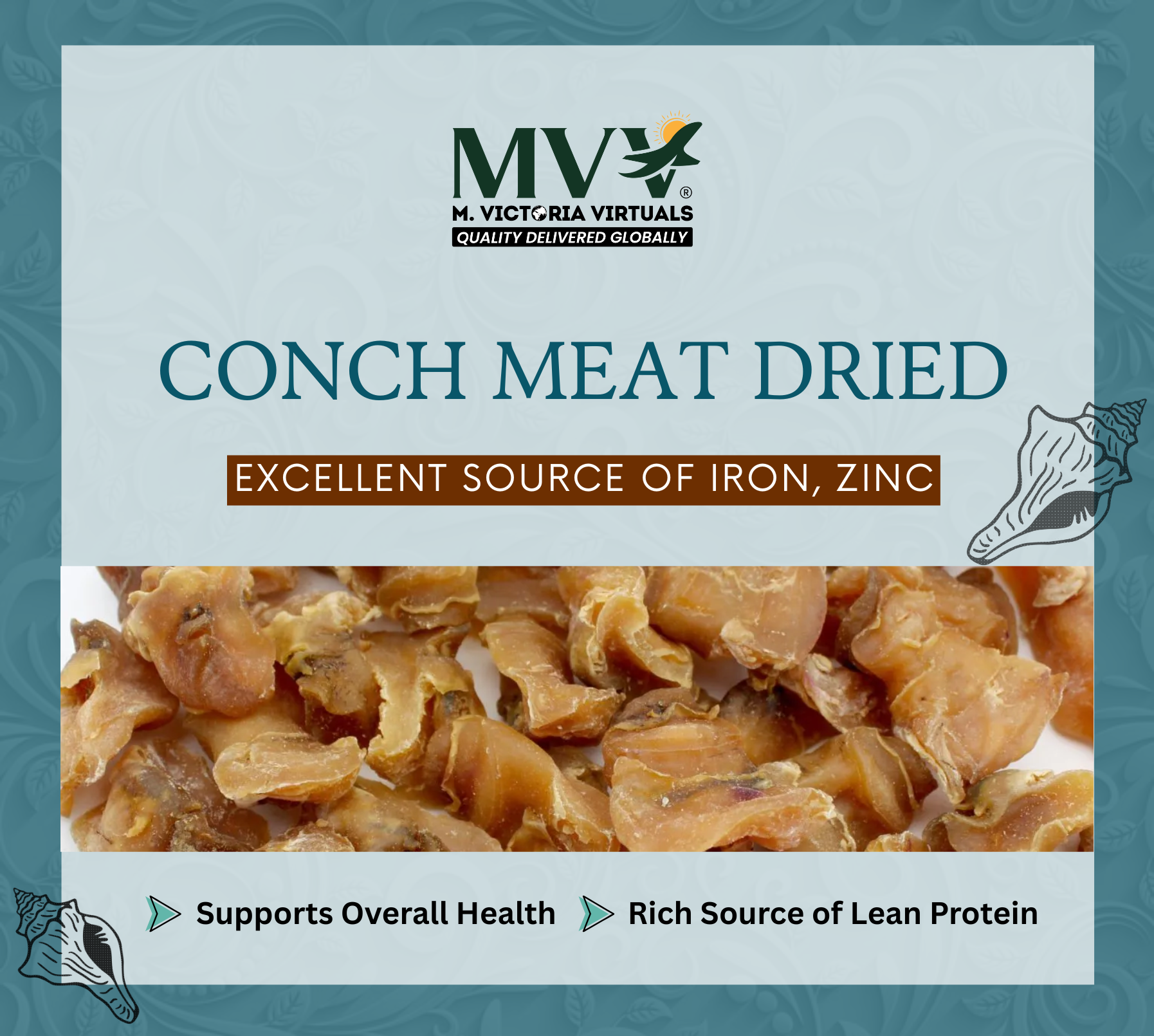 conch meat dried